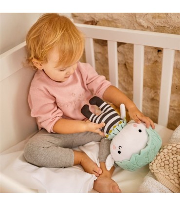 DREAMBUDDY PIXIE MINILAND