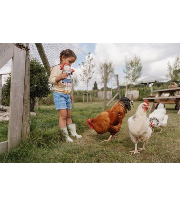 ROSA GRANJERA LITTLE DUTCH