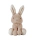 CONEJITO 15 CM BABY BUNNY LITTLE DUTCH