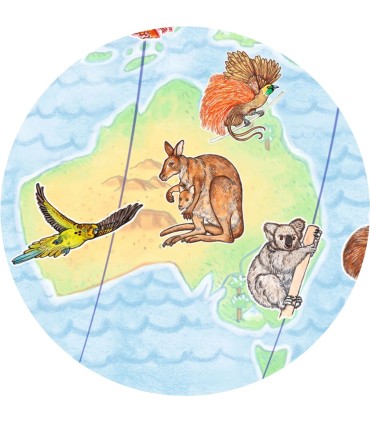 PUZZLE OBSERVACION ANIMALES DJECO