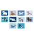 MAGNETIBOOK ANIMALES POLARES