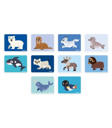 MAGNETIBOOK ANIMALES POLARES