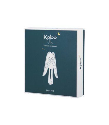 DOUDOU CONEJITO ROSA