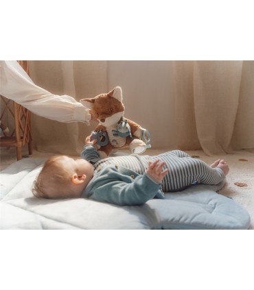 ZORRO ACTIVIDADES FOREST FRIENDS LITTLE DUTCH