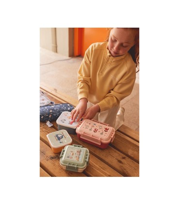 CAJITA ALMUERZO MAGICAL FOREST TUTETE