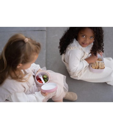 CAJA FRUTA FAIRY GARDEN LITTLE DUTCH