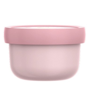 CAJA FRUTA FAIRY GARDEN LITTLE DUTCH