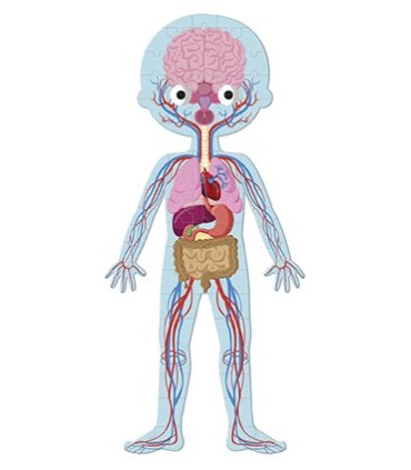 PUZZLE CUERPO HUMANO JANOD