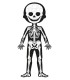 PUZZLE CUERPO HUMANO JANOD