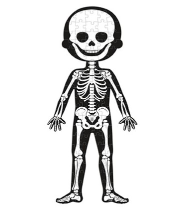 PUZZLE CUERPO HUMANO JANOD