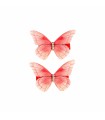 PINZAS CABELLO LINDE MARIPOSA