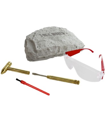 SET EXCAVACION T-REX