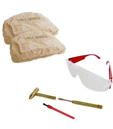 SET EXCAVACION TRICERATOPS