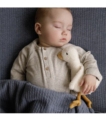 OCA PEQUEÑA LITTLE DUTCH